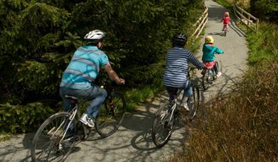 A family cycling on the Brenig Trail.