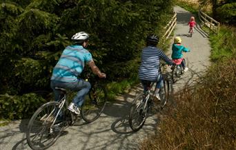 A family cycling on the Brenig Trail.