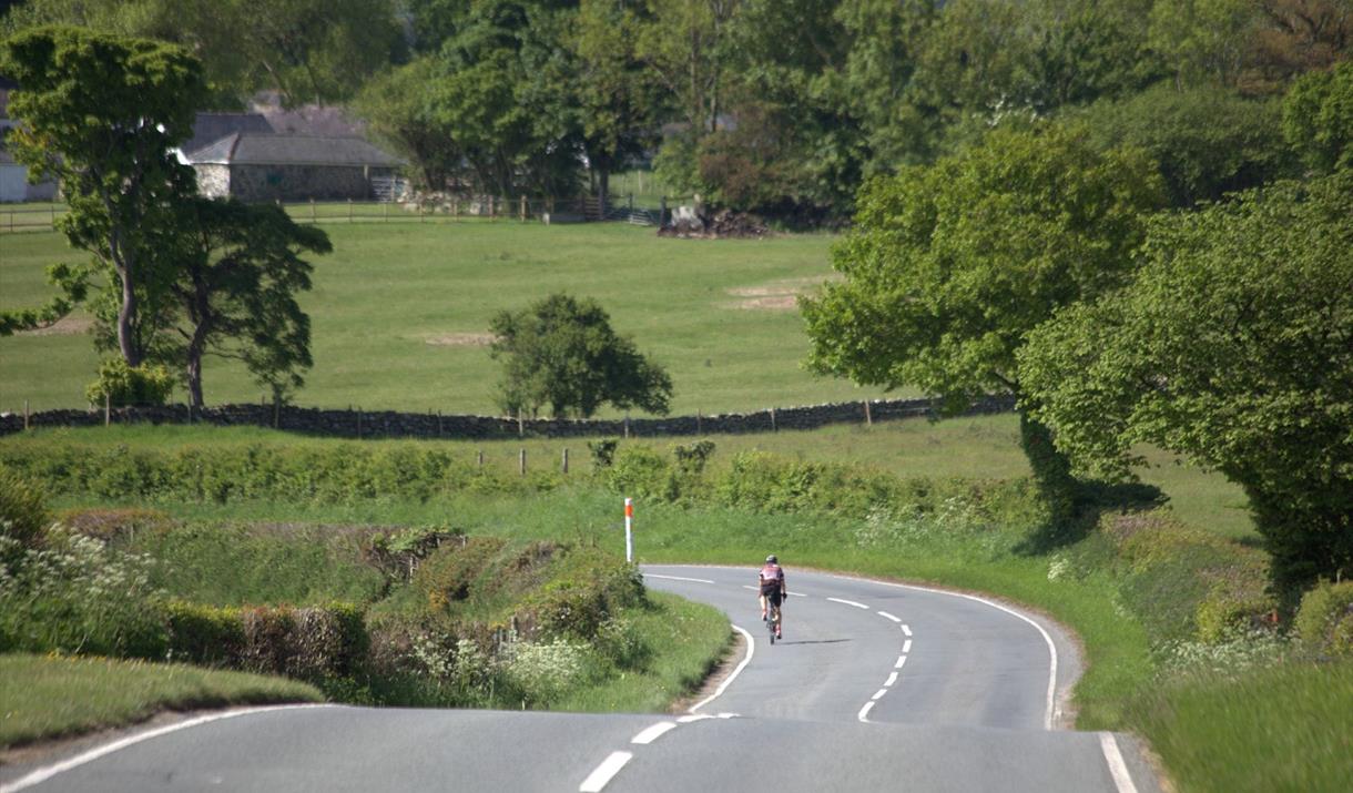 Cyclist riding along country road