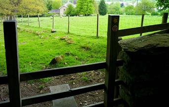 Stile into a field with public pathway