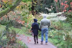 Have a hot date at Batsford Arboretum