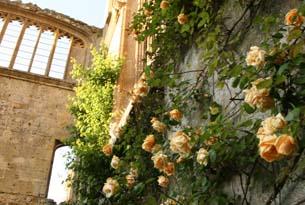 Sudeley Castle is a truly romantic place to propose