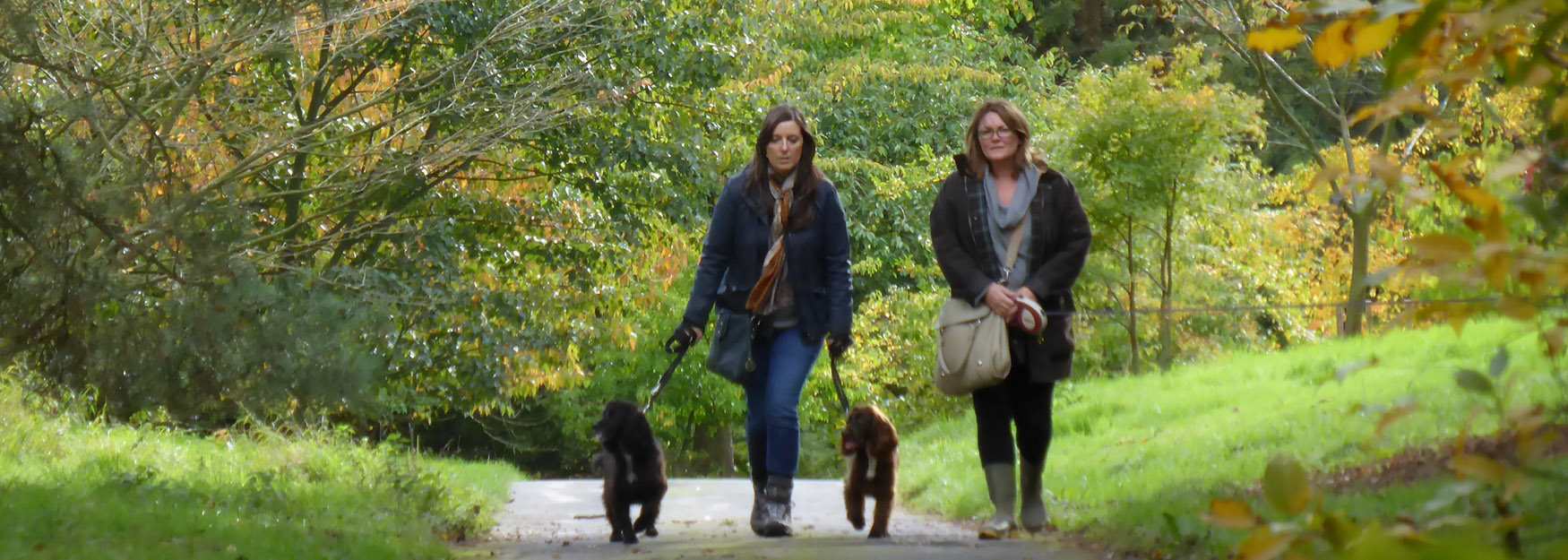 Autumn dog walkers at Batsford Arboretum