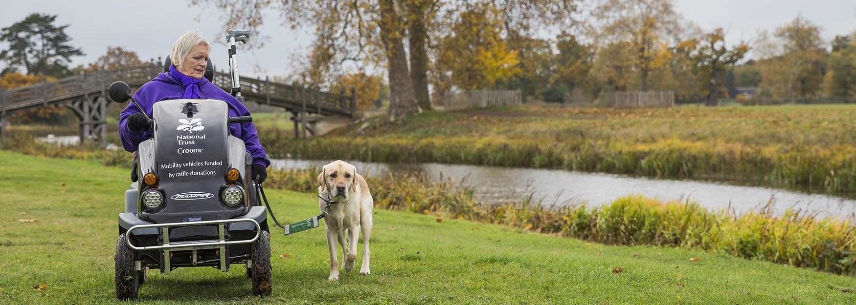 Dogs at Croome Park (National Trust) - credit James Dobson