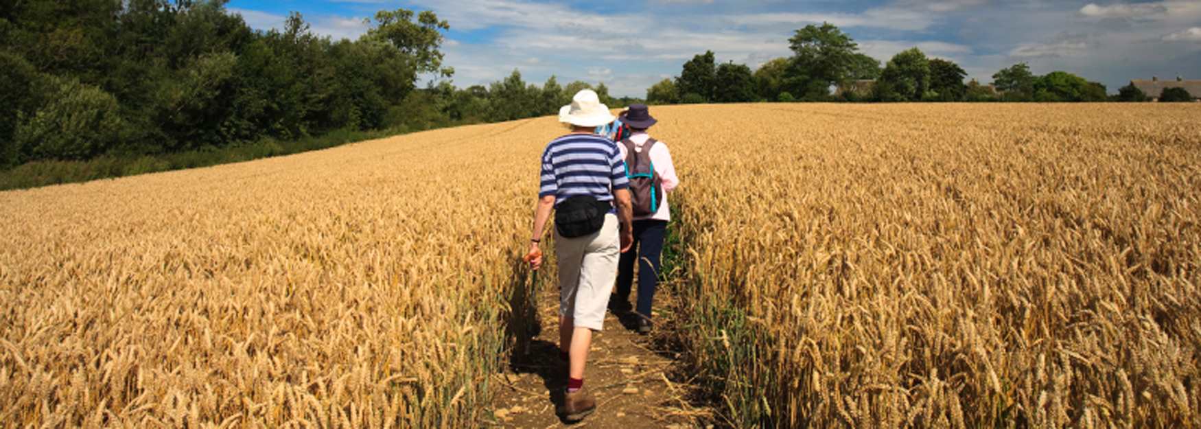 Guided walks in the Cotswolds