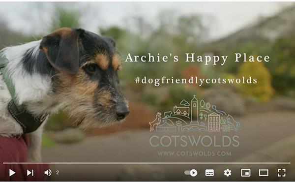 Dog deals friendly cotswolds