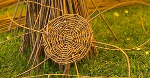 Willow being woven into a basket