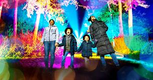 family standing among colourfully lit trees