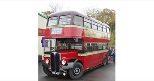 1950 AEC Regent III bus