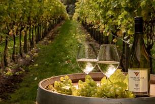Woodchester Valley Vineyard: Walk, Picnic & Wine Tasting