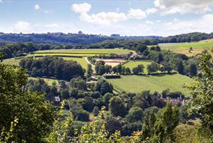 Woodchester Wander & Wine Fest