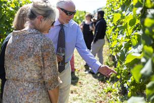 A man in a blue shirt is holding a glass of wine, pointing at grapes on a vine and talking to two ladies listen to hi