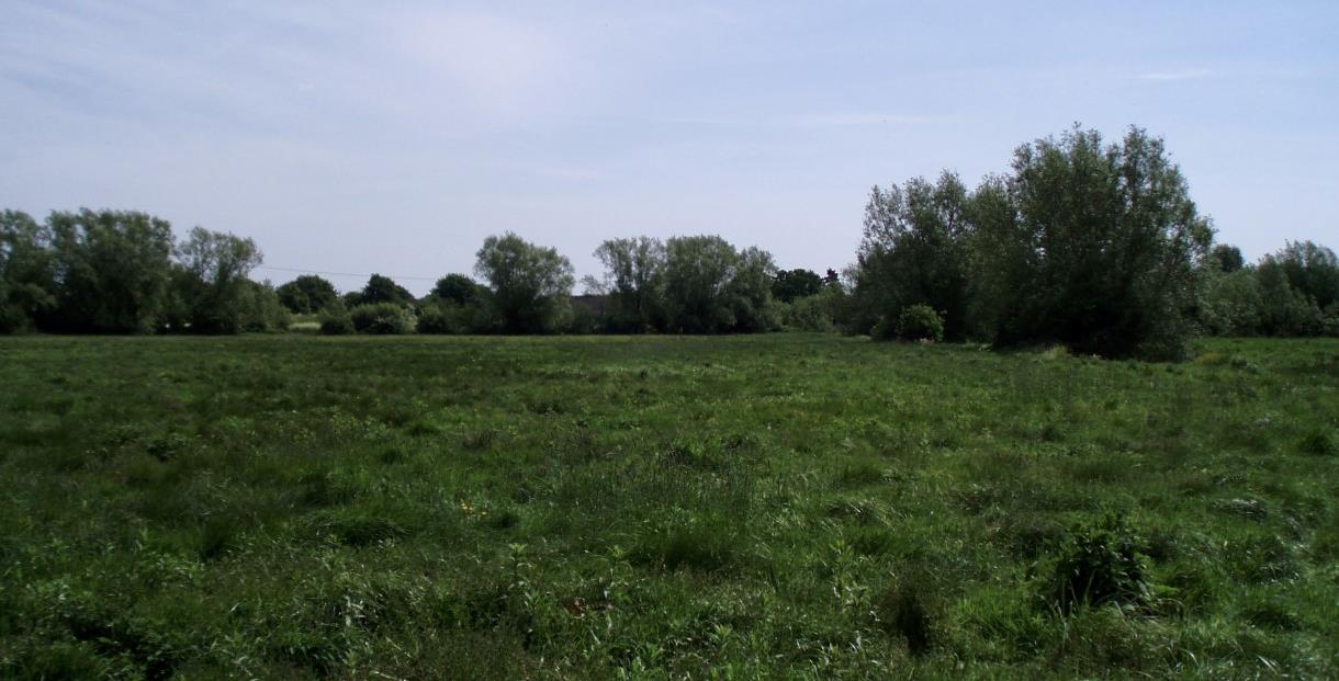 Image of Grimes Meadow