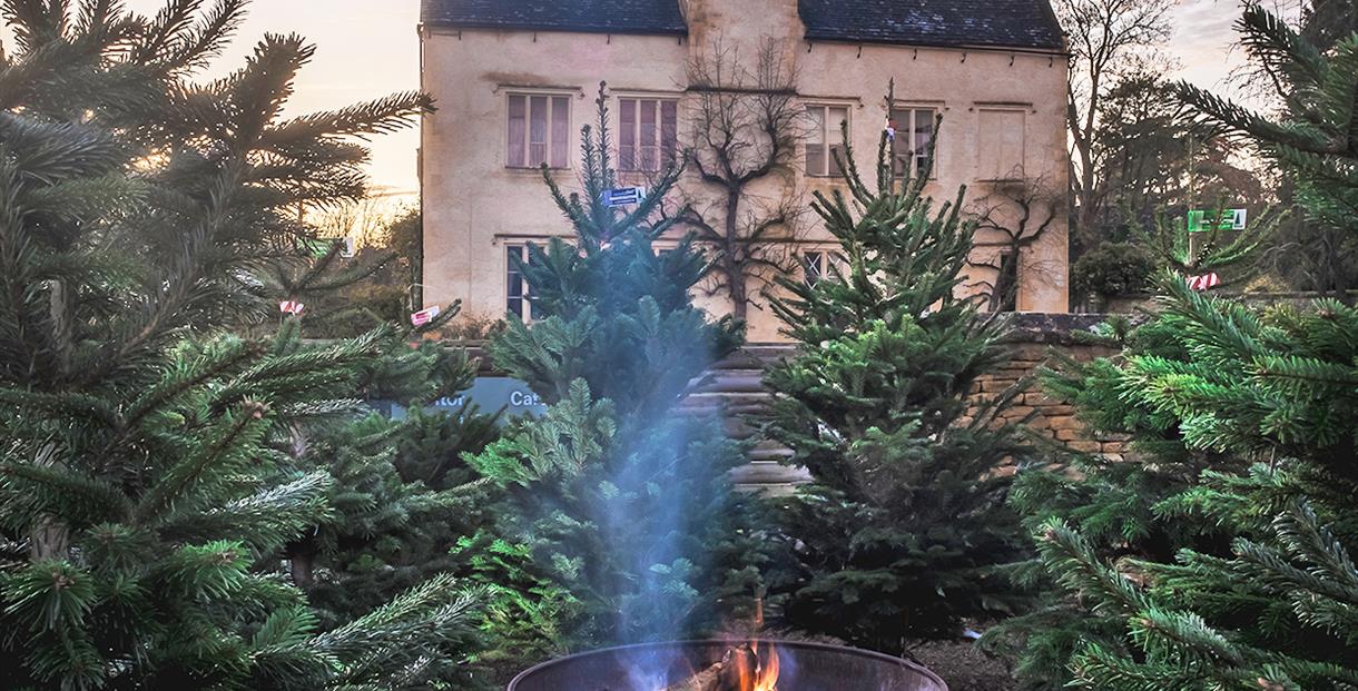 Cogges Manor House facade in daylight with Christmas trees and fire pit in foreground