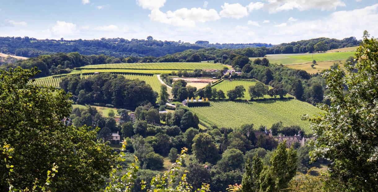 Woodchester Wander & Wine Fest