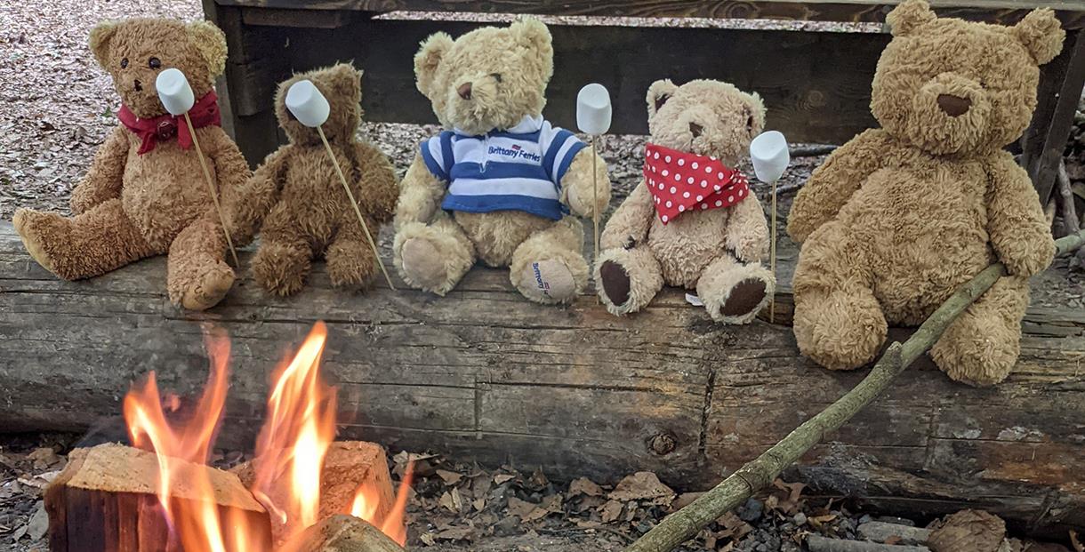 Teddys toasting marshmallow at Fat Squirrel Outdoor