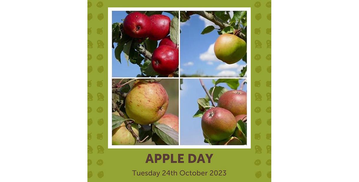 Apple Day 24th October at FarmED