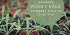 Bridewell Gardens Plant Sale April 29th 2023