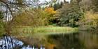 Old Pond at Woodchester Park (photo by Andrew Butler ©National Trust Images)