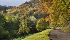 Valley walk at Woodchester Park (photo by Andrew Butler ©National Trust Images)