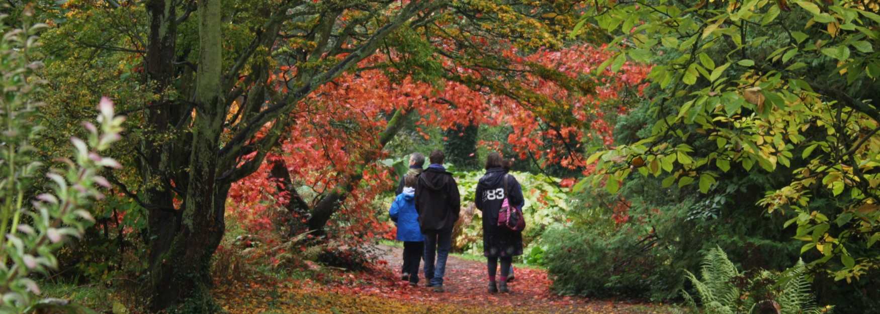 Family walking through Batsford Arboretum in the autumn