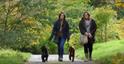 Autumn dog walkers at Batsford Arboretum