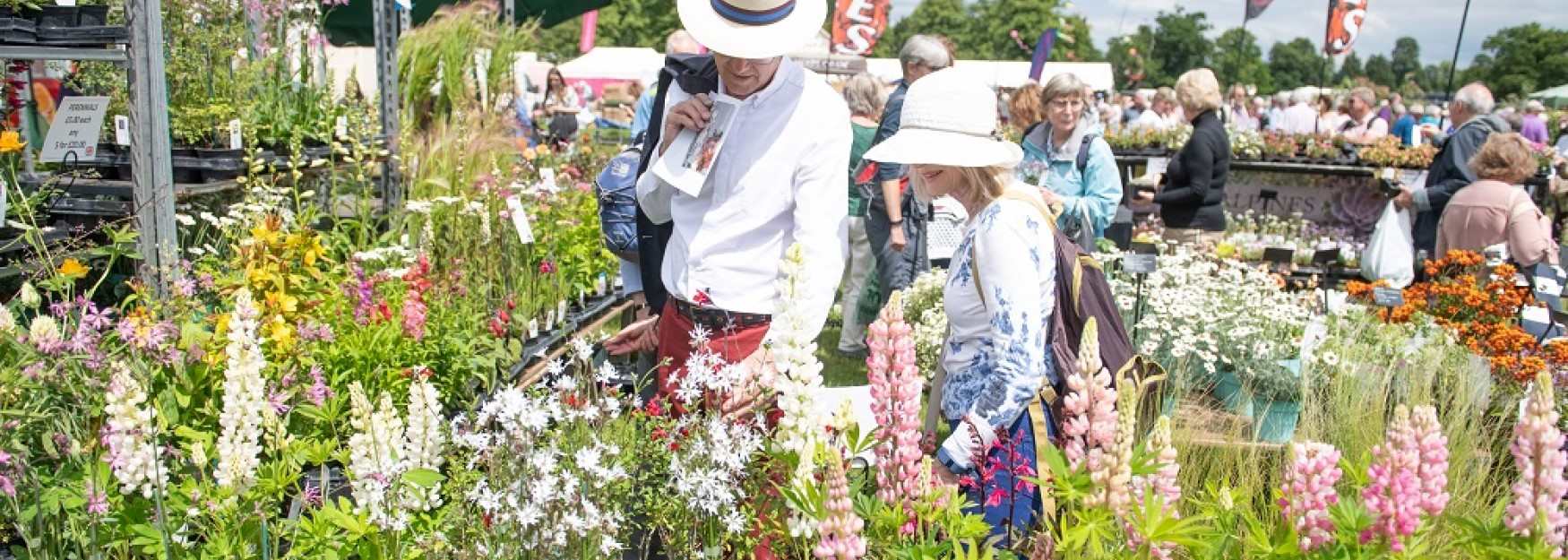Couple admiring flowers at Blenheim Palace Flower Show