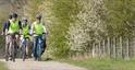 Group cycling down a country lane with Cotswold Electric Bike Tours