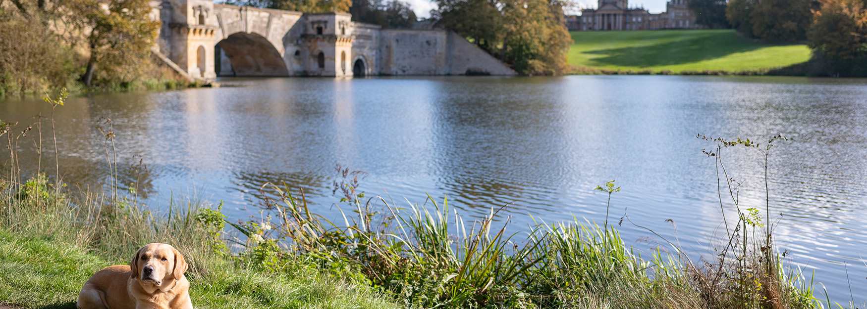 Looking across the lake to Blenheim Palace