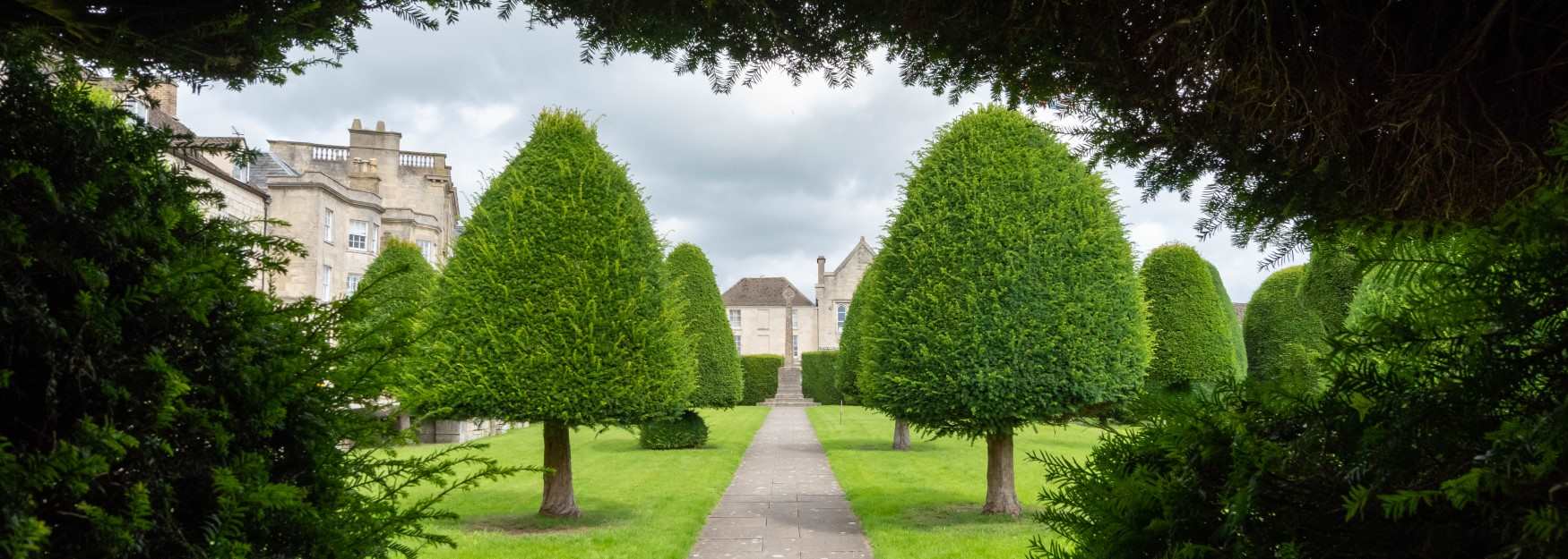 Yew trees in Painswick church's grounds