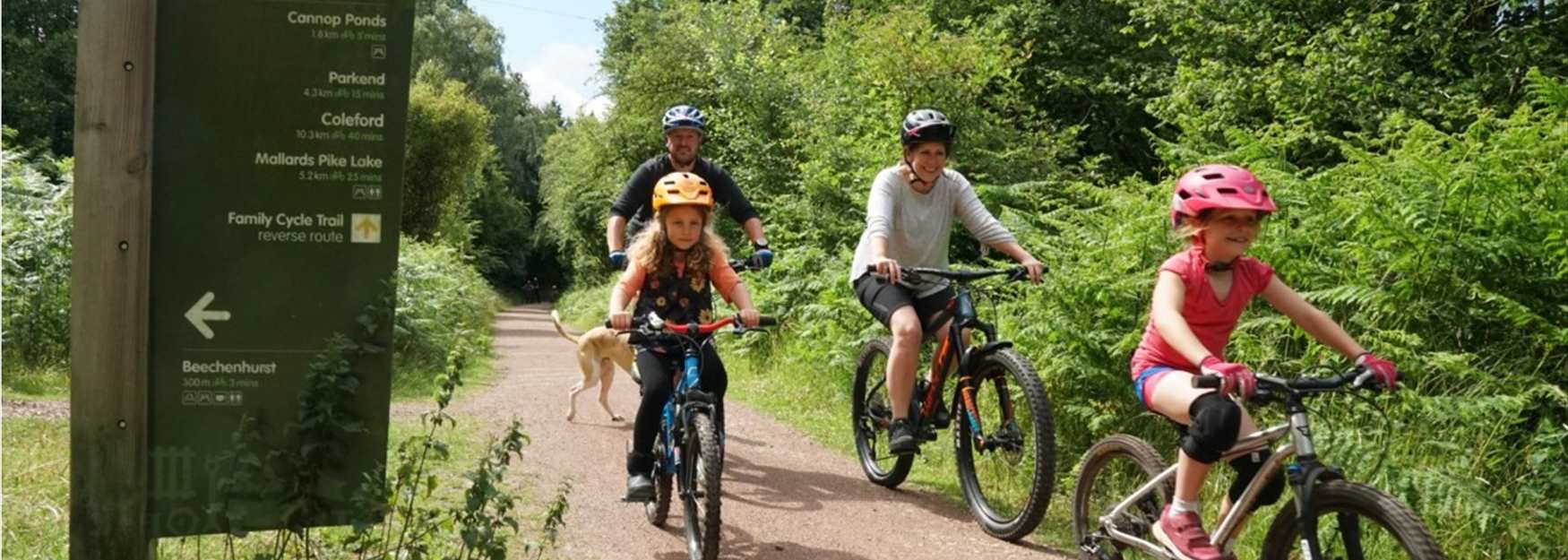 Cycling in the Forest of Dean
