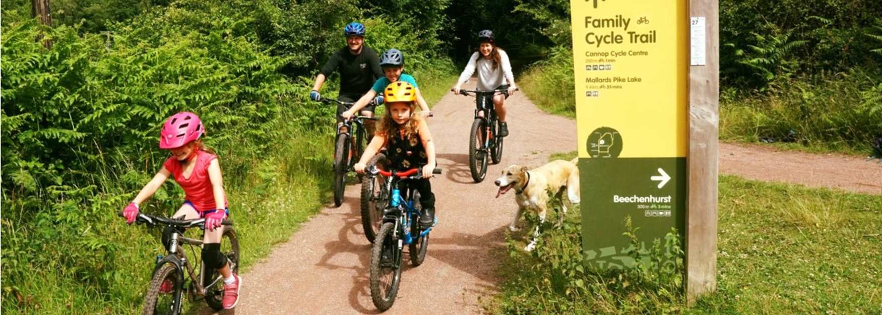 Family cycle trail in the Forest of Dean