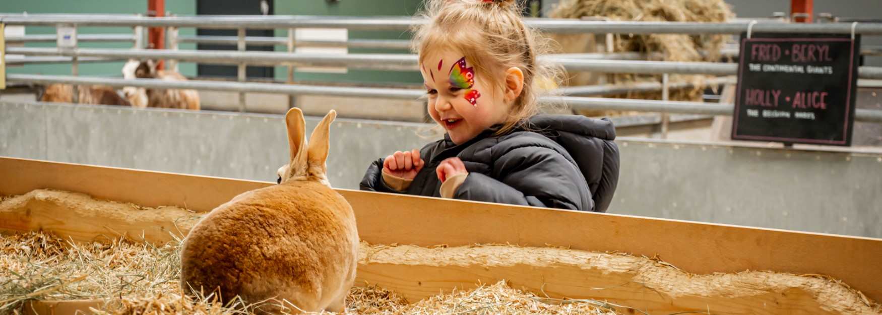 Little girl and bunny rabbit at Cotswold Farm Park
