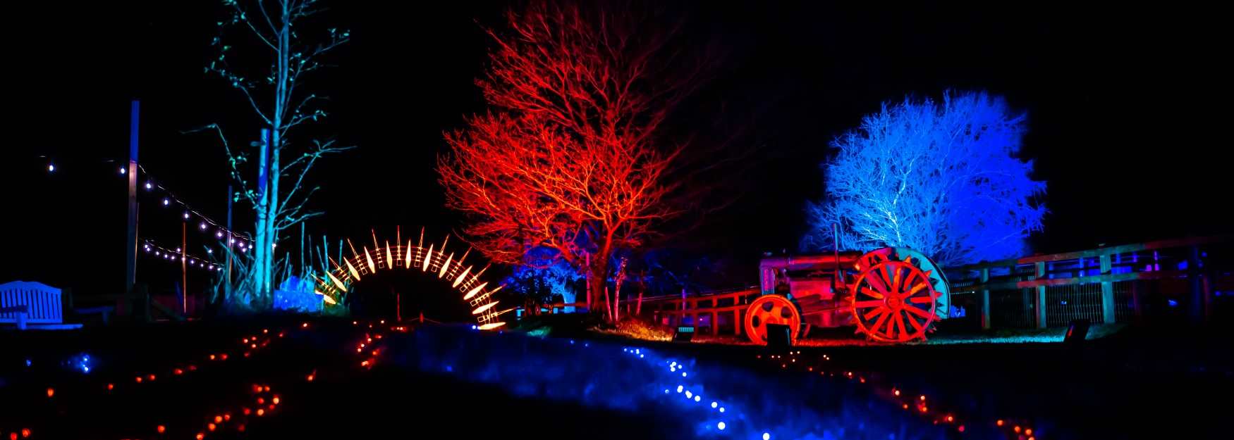 Enchanted Light Trail at Cotswold Farm Park