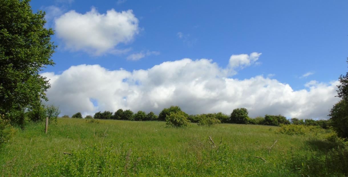 Image of Wigwell Nature Reserve