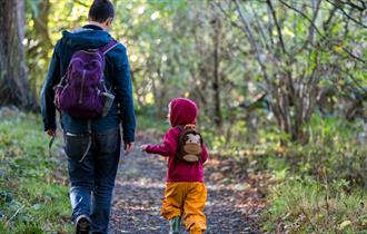 The backs of an adult and child walking along a path in autumn