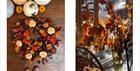 Autumnal displays at The Flower Shop