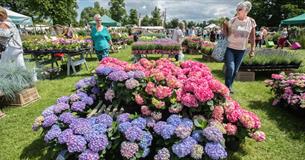 Blenheim Palace Flower Show 
