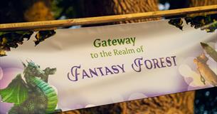 Fantasy Forest Festival 2022