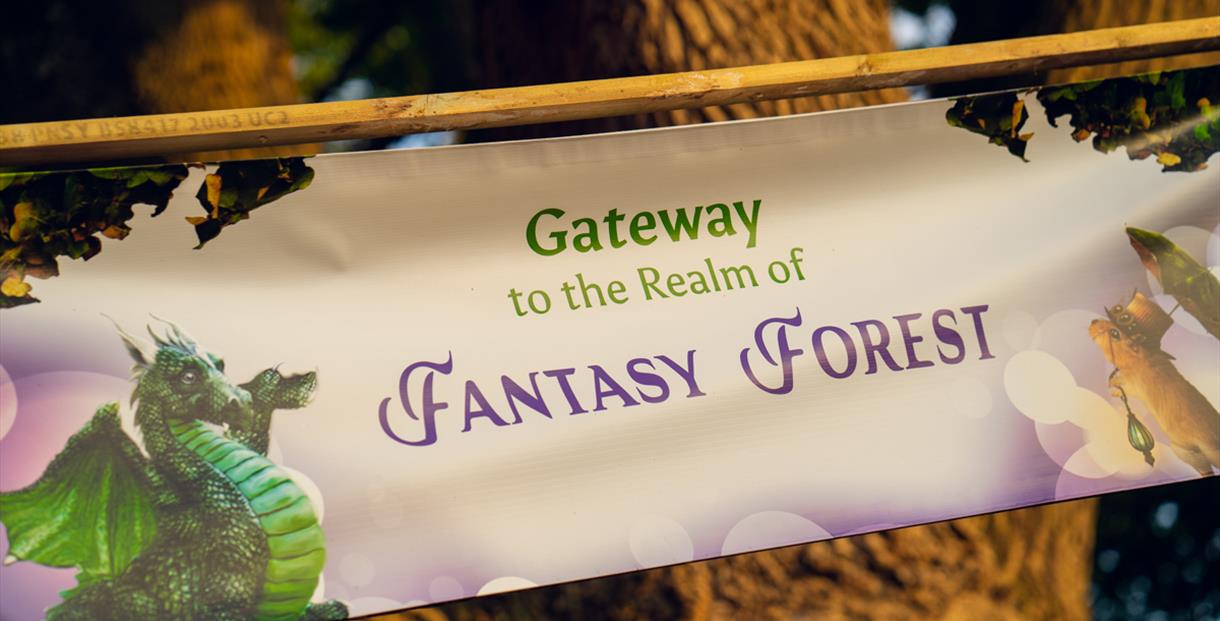 Fantasy Forest Festival 2023