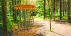 The disc golf target located in the woods