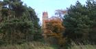 Image of one of the trails leading up to Faringdon Folly Tower