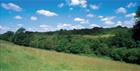 An image of Glyme Valley on a summer's day