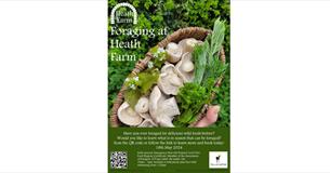 Foraging at Heath Farm poster