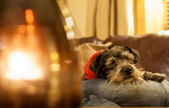 Canine Cottages - more than 80 dog-friendly cottages in the Cotswolds