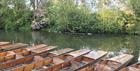 The punts lined up along the river