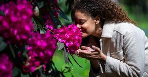 Girl smelling spring flower at Westonbirt Arboretum