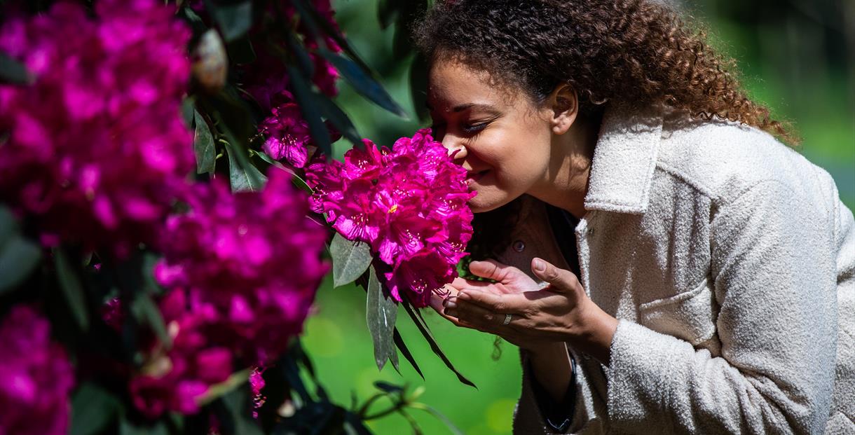 Girl smelling spring flower at Westonbirt Arboretum
