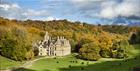 The Mansion in Woodchester Park (photo by Andrew Butler ©National Trust Images)