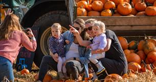 Families at Pumpkin Patch